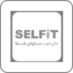 سلفیت سلفیت